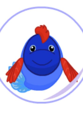 Betta Fish
