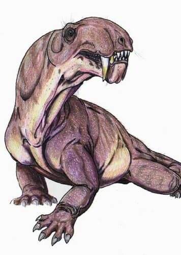 Biarmosuchus