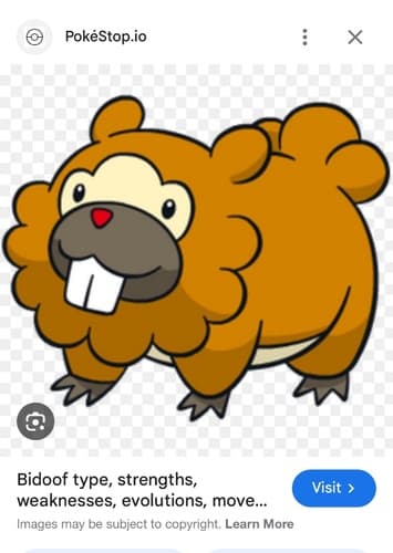 Bidoof