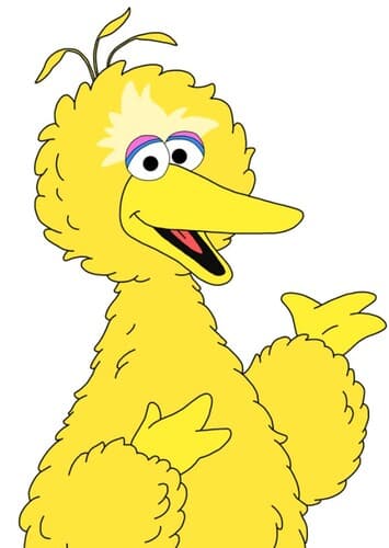 Big Bird