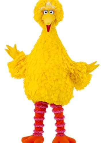 Big Bird