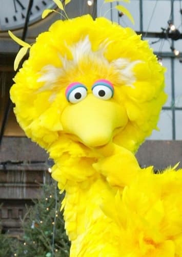 Big Bird