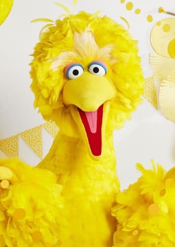 Big Bird