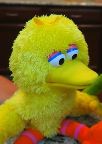 Big Bird