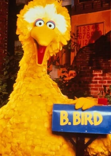 Big Bird