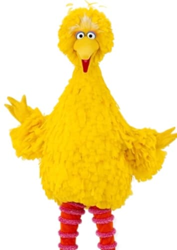 Big Bird