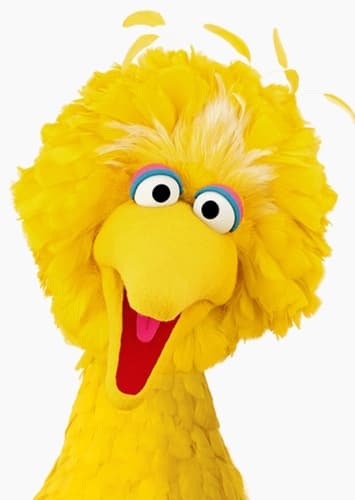 Big Bird