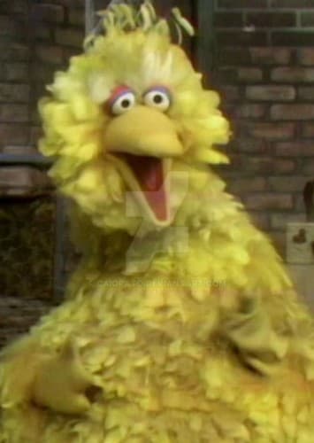 Big Bird