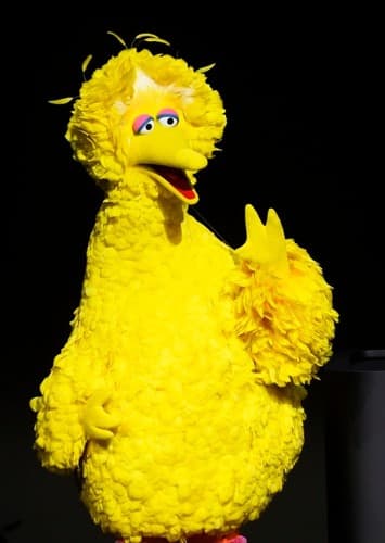 Big Bird