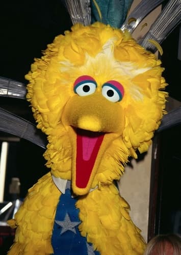 Big Bird