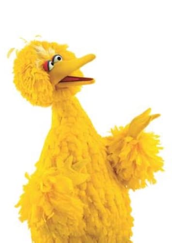 Big Bird