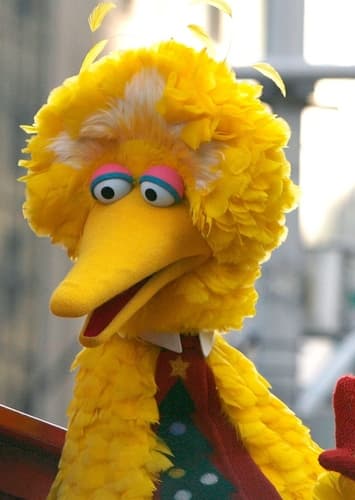Big Bird