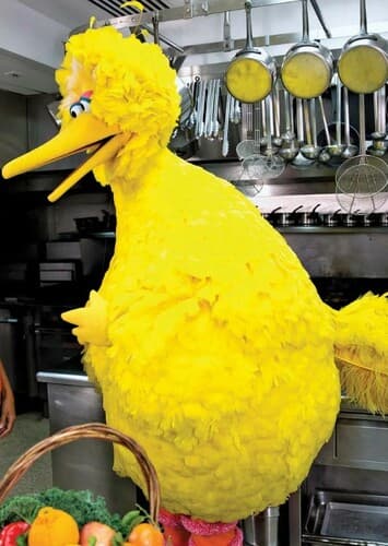 Big Bird
