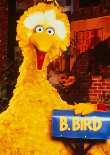 Big Bird