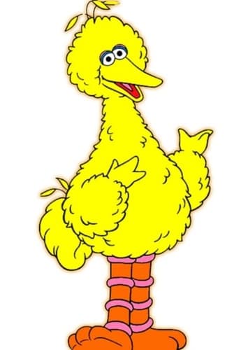 Big Bird