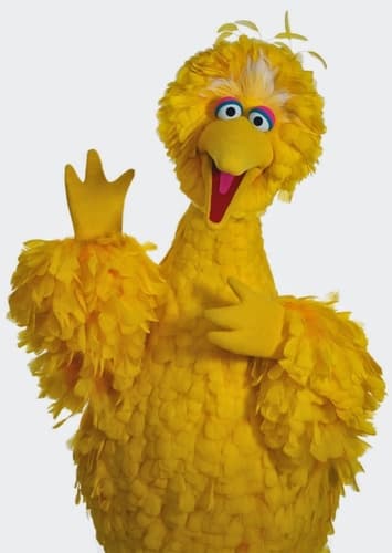 Big Bird