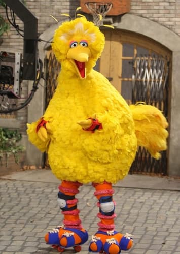 Big Bird