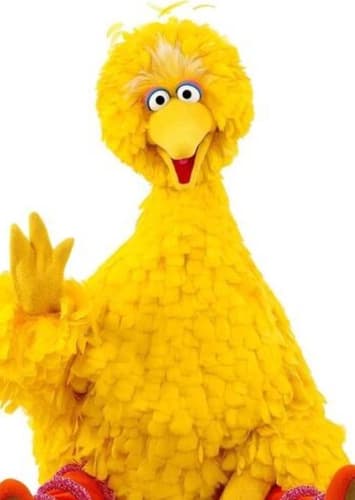 Big Bird