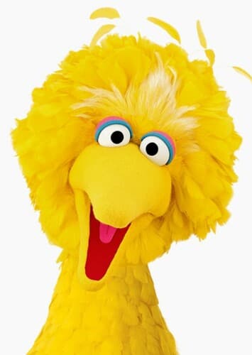 Big Bird