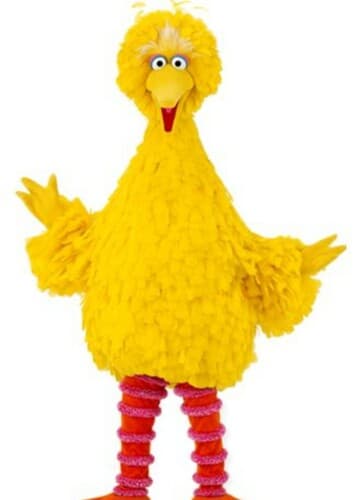 Big bird