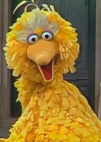 Big Bird