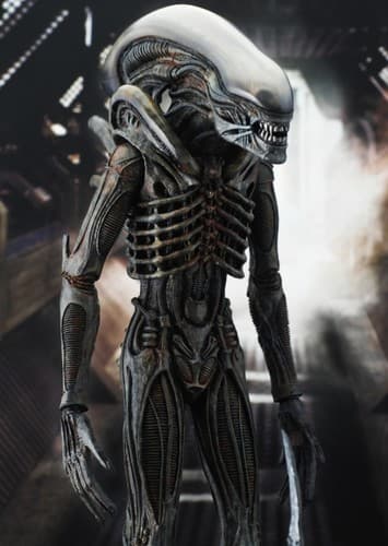 Big Chap the Xenomorph