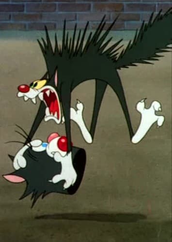 Biggest Scaredy Cats