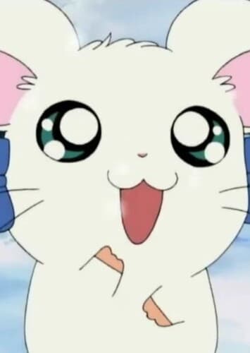 Bijou (Hamtaro)