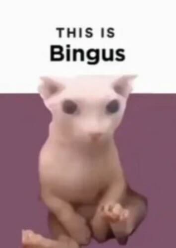 Bingus
