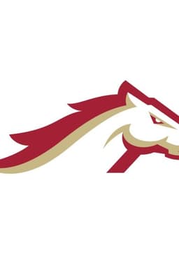 Birmingham Stallions