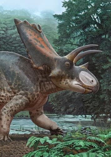 Bisticeratops