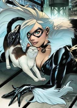Black Cat