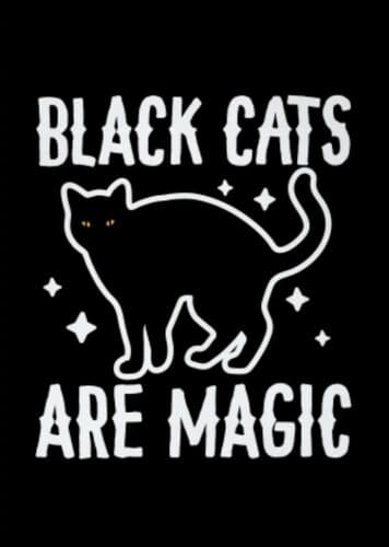 Black Cats are Magic