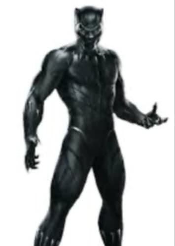 Black Panther Wakanda Forever (2014)