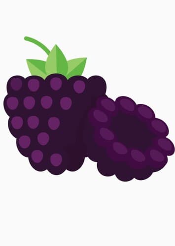 Blackberry