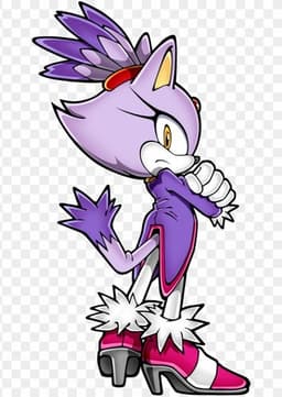 Blaze The Cat