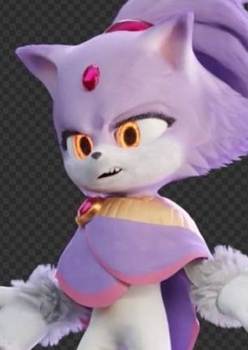 Blaze the Cat