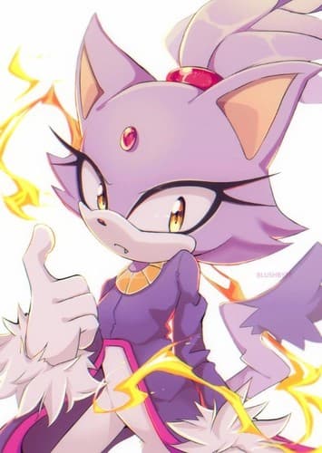 Blaze The Cat