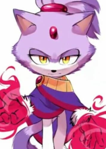 Blaze The Cat