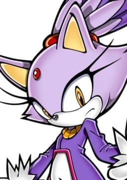Blaze the Cat