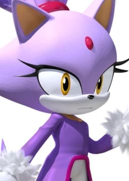 Blaze The Cat
