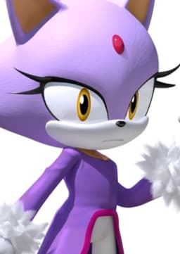 Blaze The Cat