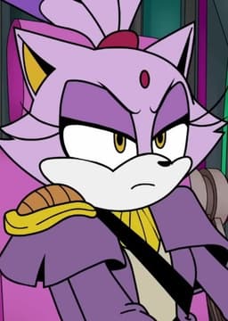 Blaze the cat