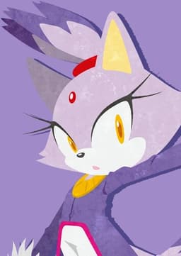 Blaze the Cat