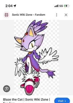 Blaze the cat