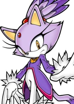 Blaze The Cat