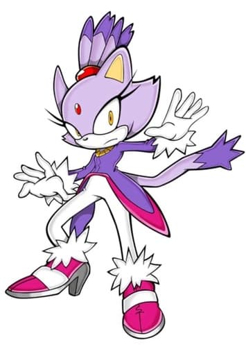 Blaze the Cat