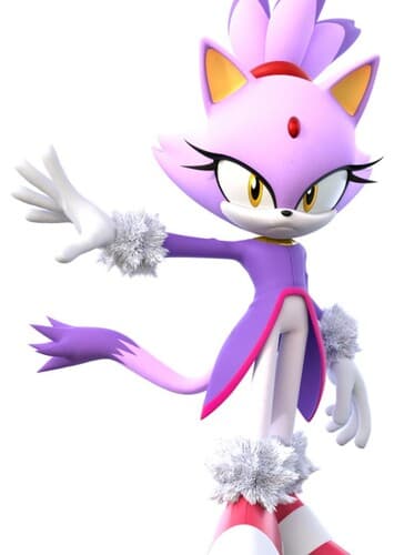 Blaze the cat
