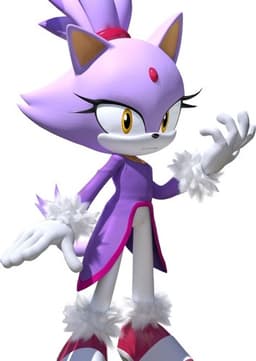 Blaze the cat