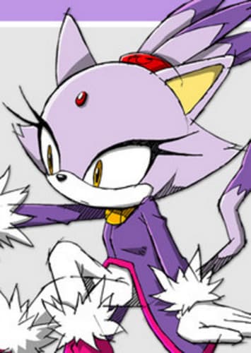 Blaze the Cat
